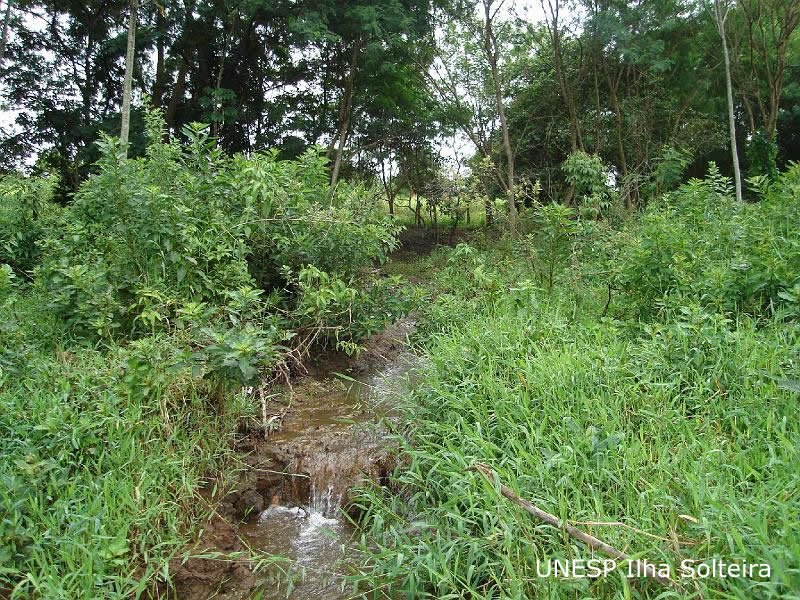 unesp_pos_2009 (36).JPG